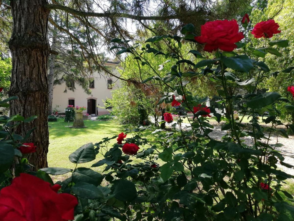 B&B Casa Manuela Mantova Eksteriør bilde