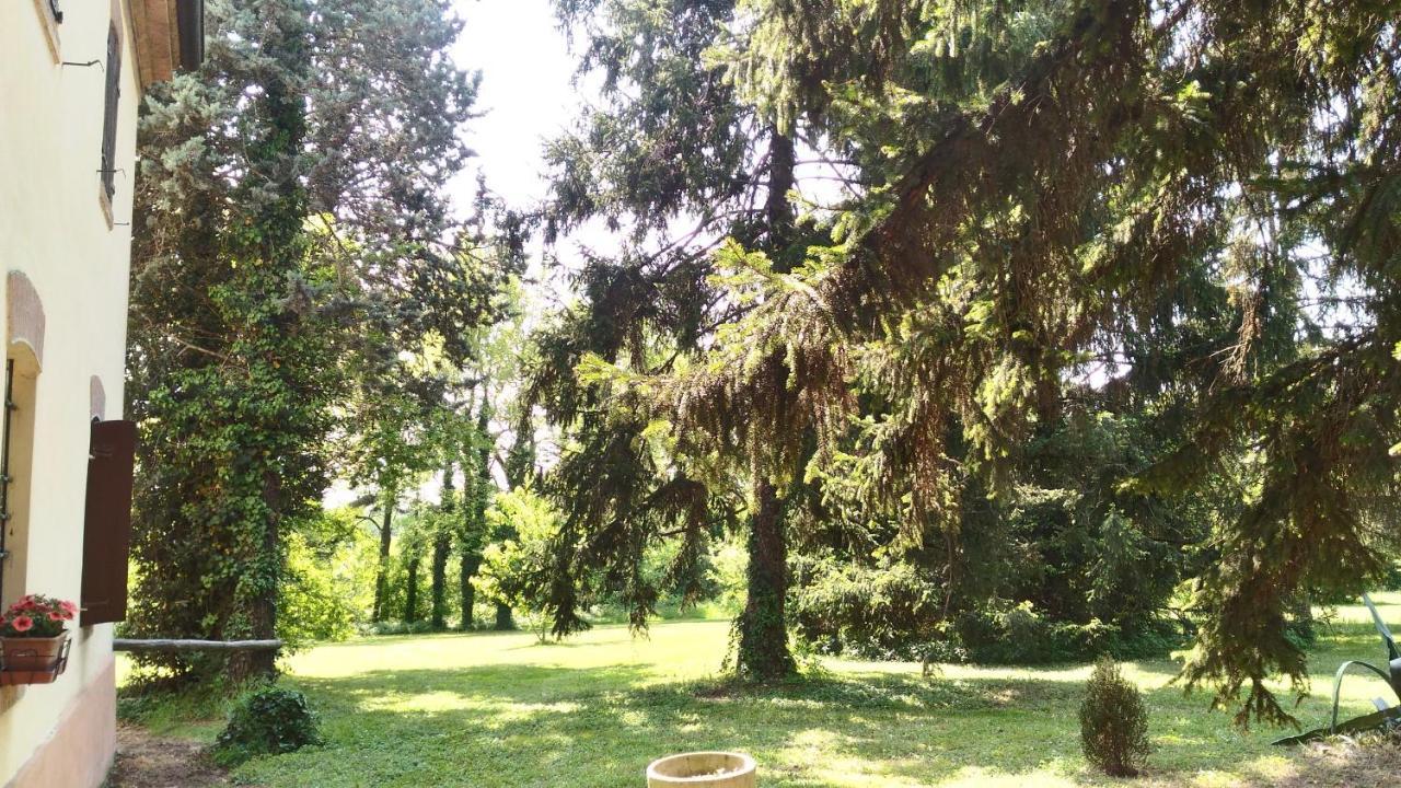 B&B Casa Manuela Mantova Eksteriør bilde